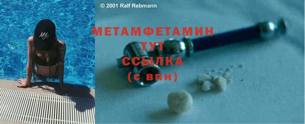 гидра Михайловск