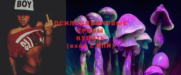 гидра Михайловск