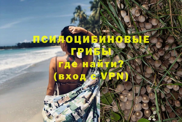 гидра Михайловск