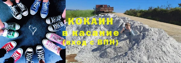 гидра Михайловск