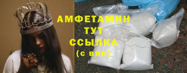 гидра Михайловск